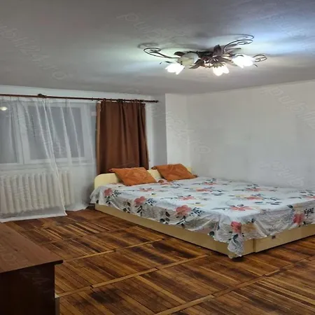 아파트 Buget Inchis Permanent 티미쇼아라