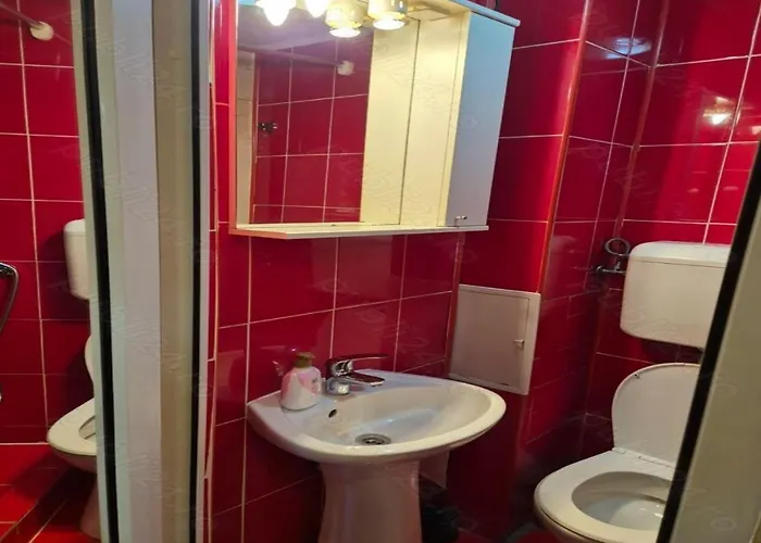 アパート Buget Inchis Permanent ティミショアラ